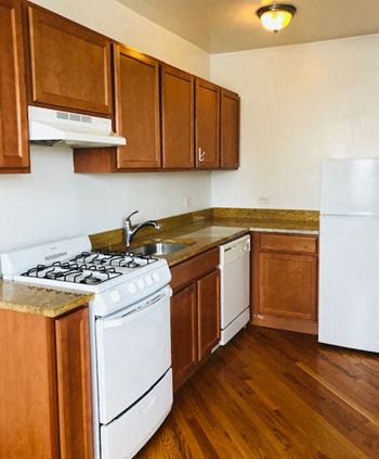 Gas stove